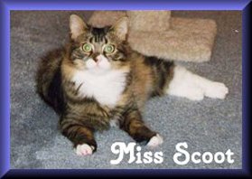 Miss Scoot