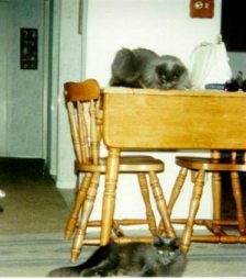 Rufus and Lucy