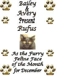 Rufus is Feline Face for December at Bailey and Avery's