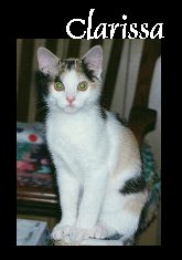 Clarissa