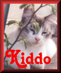Kiddo