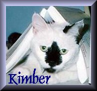 Kimber