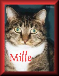 Mille