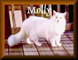 Molly