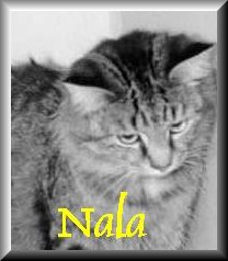 Nala