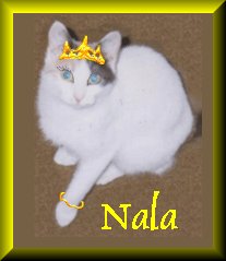 Nala