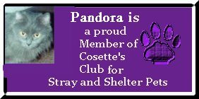 Cosette's Club For Strays and Shelter Pets