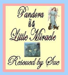 Little Miracle