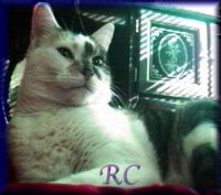 RC