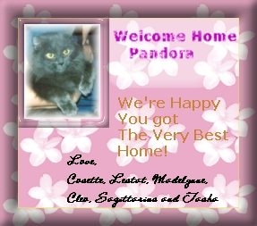Welcome Pandora