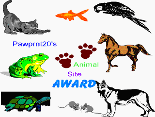 Animal