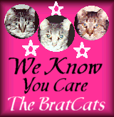 'We Know You Care' award