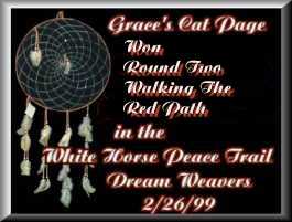 Winner Round Two 'Dreamweavers' - Walking The Red Path