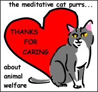 Mediative Cat Care Site Award