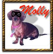 Meaner Wiener Molly