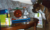 Rocky with Biscuit the Hamster