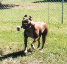 running