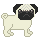 /user/fawnpug1.gif