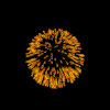 /user/fireworks.gif