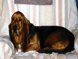 Jake