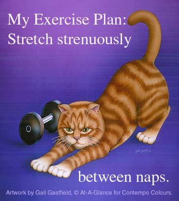 don't do exercise
