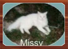missy