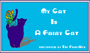 my cat is a fairy
cat