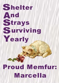 SASSY Proud Memfur: Marcella