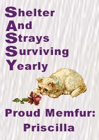 SASSY Proud Memfur: Priscilla