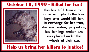 Killed For Fun