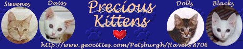 Precious Kittens