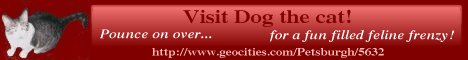 Visit Dog the cat!