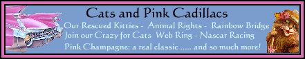Cats and Pink Cadillacs