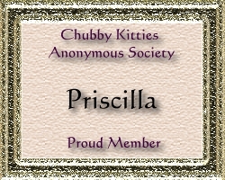 Chubby Kitties Anonymous Society Proud Member