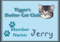 Tigger's Shelter Cat Club
