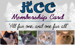 KCC