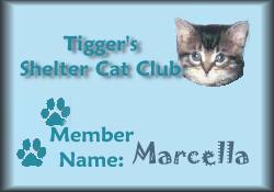 Tigger's Shelter Cat Club