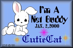 I'm A Net Buddy