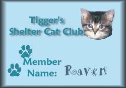 Tigger's Shelter Cat Club