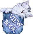 View Book