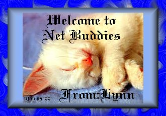 Welcome to Net Buddies
