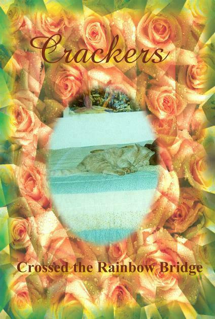 Crackers