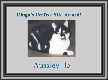 Ringo's Perfect site Award