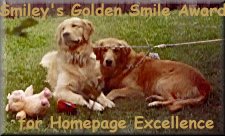 Smiley's Golden Smile Award