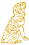 Chinese Shar-Pei gif