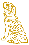 Chinese Shar-pei gif