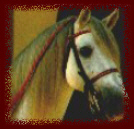 The Australasian
AndalusianWebRing