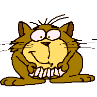 welcome cat