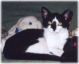 Molly