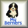 My Berners